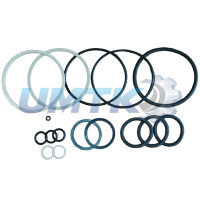 Рем. комплект г/ц ЦС-100 ст. зр. (вир-во Україна)