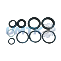 Рем. комплект г/ц ЦС-50 (вир-во Україна)