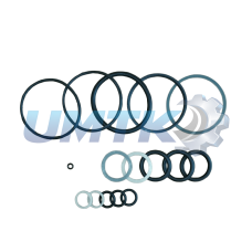 Рем. комплект г/ц ЦС-75 (вир-во Україна)