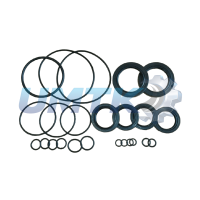 Рем. комплект ПВМ Т-40 ртв. (повний з манжетами) (вир-во Україна)