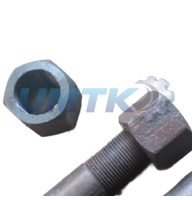 Гайка шпильки рами 125.30.220Б (вир-во УМТК)